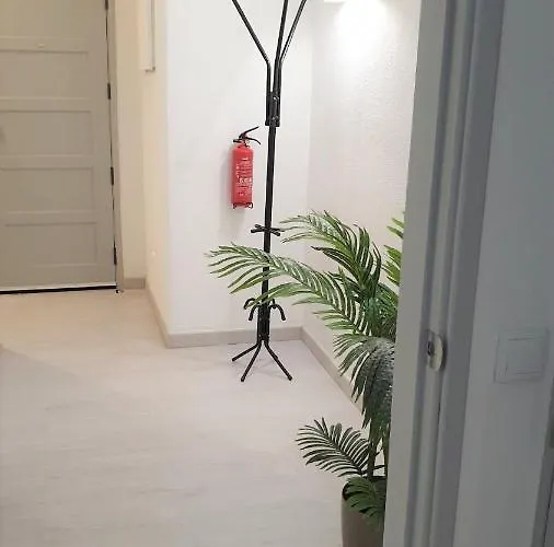 Sweet 阿尔布费拉